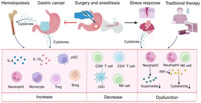 Dysregulation of systemic immunity and its clinical application in gastric cancer